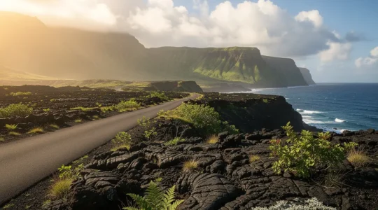 Route des Laves traversant les coulées de basalte noir du Grand Brûlé avec l'océan Indien en arrière-plan à La Réunion