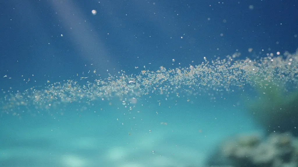 Gros plan macro de particules en suspension et de microbulles éclairées par des rayons de soleil sous l’eau.